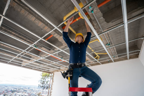 Best Clogged Drain Plumber  in Boyne City, MI